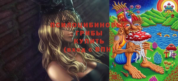 винт Алексеевка