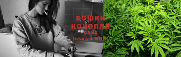 ГАЛЛЮЦИНОГЕННЫЕ ГРИБЫ Алексин