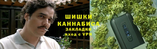 гидра Абаза