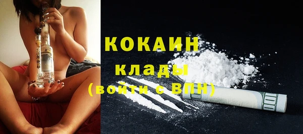 гидра Абаза