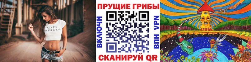 Галлюциногенные грибы ЛСД  наркота  Касимов 
