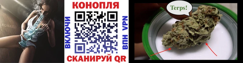купить наркотики сайты  hydra рабочий сайт  Канабис Amnesia  Касимов 